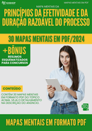 Mapas Mentais de Princípios Da Efetividade E Da Duração Razoável Do Processo